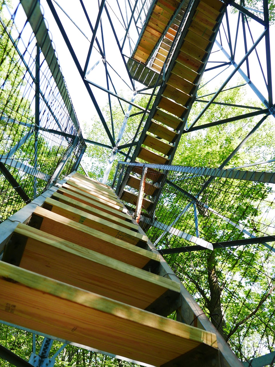 全球共同应对肺炎疫情的挑战与希望，最新消息与动态分析