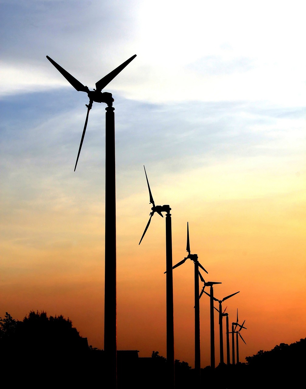 姚河坝最新进展,迈向生态与可持续的未来之路