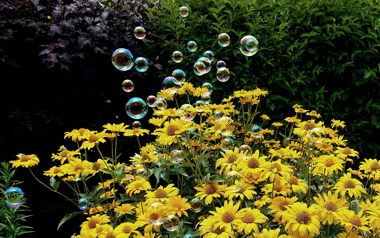 斯洛伐克新冠疫情全面解析，最新消息与动态