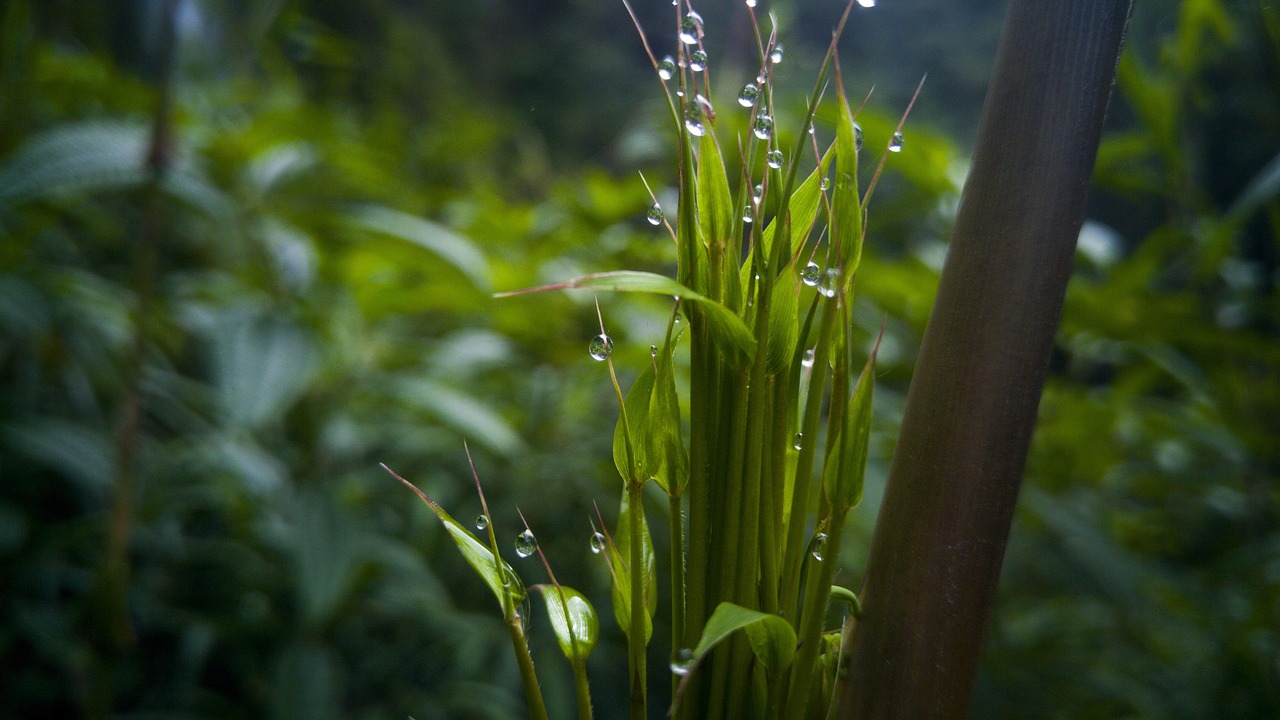 濮阳高铁站最新状况概览，最新动态与发展概述