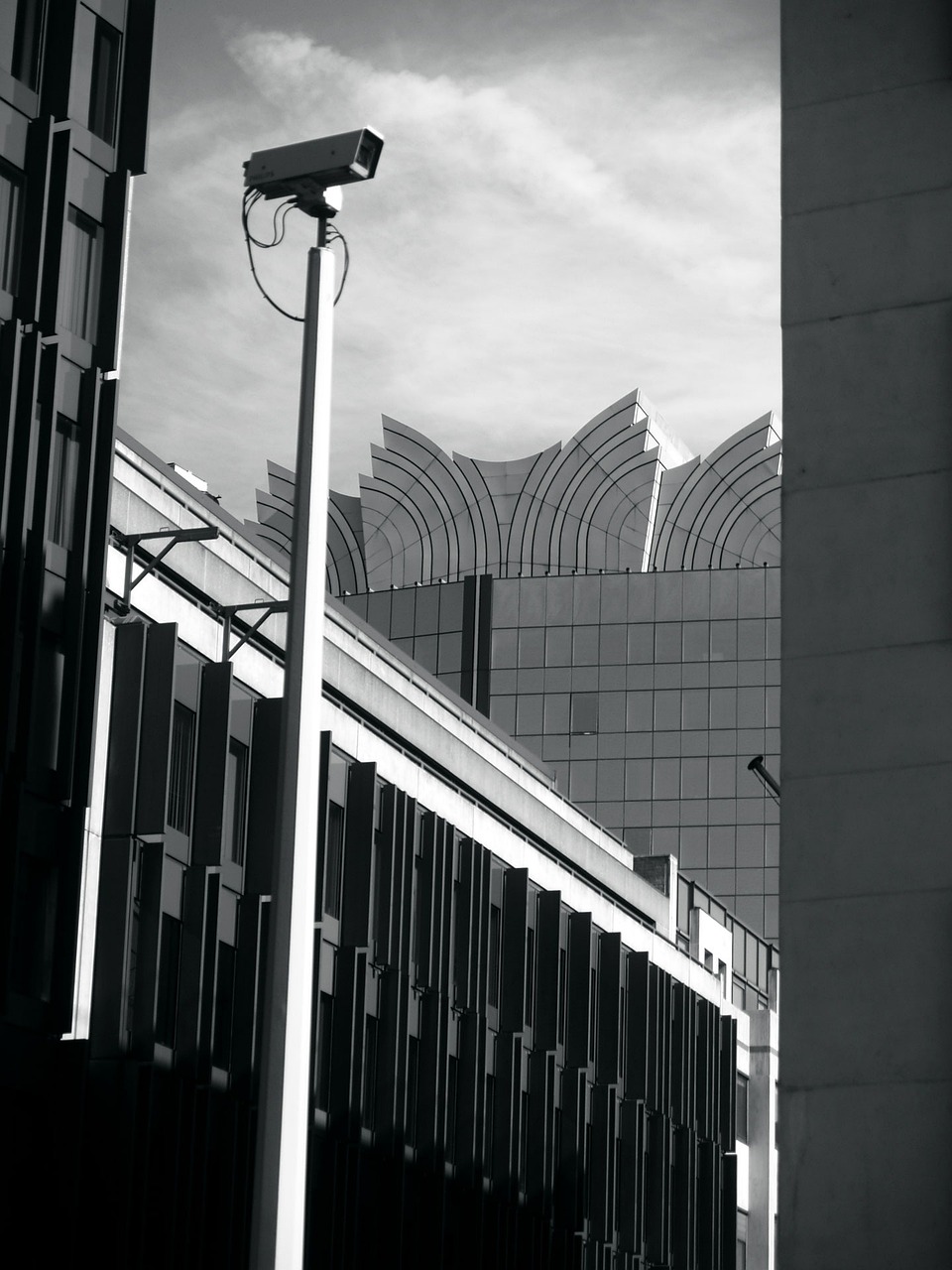 台风鹦鹉胚胎最新动态,监测与预测分析报告