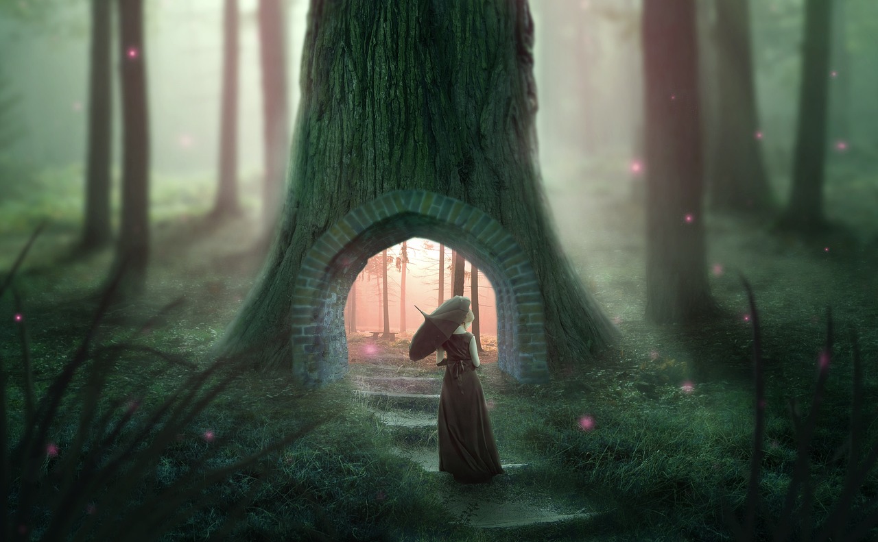 今天来女士最新动态，揭秘背后的故事与最新进展