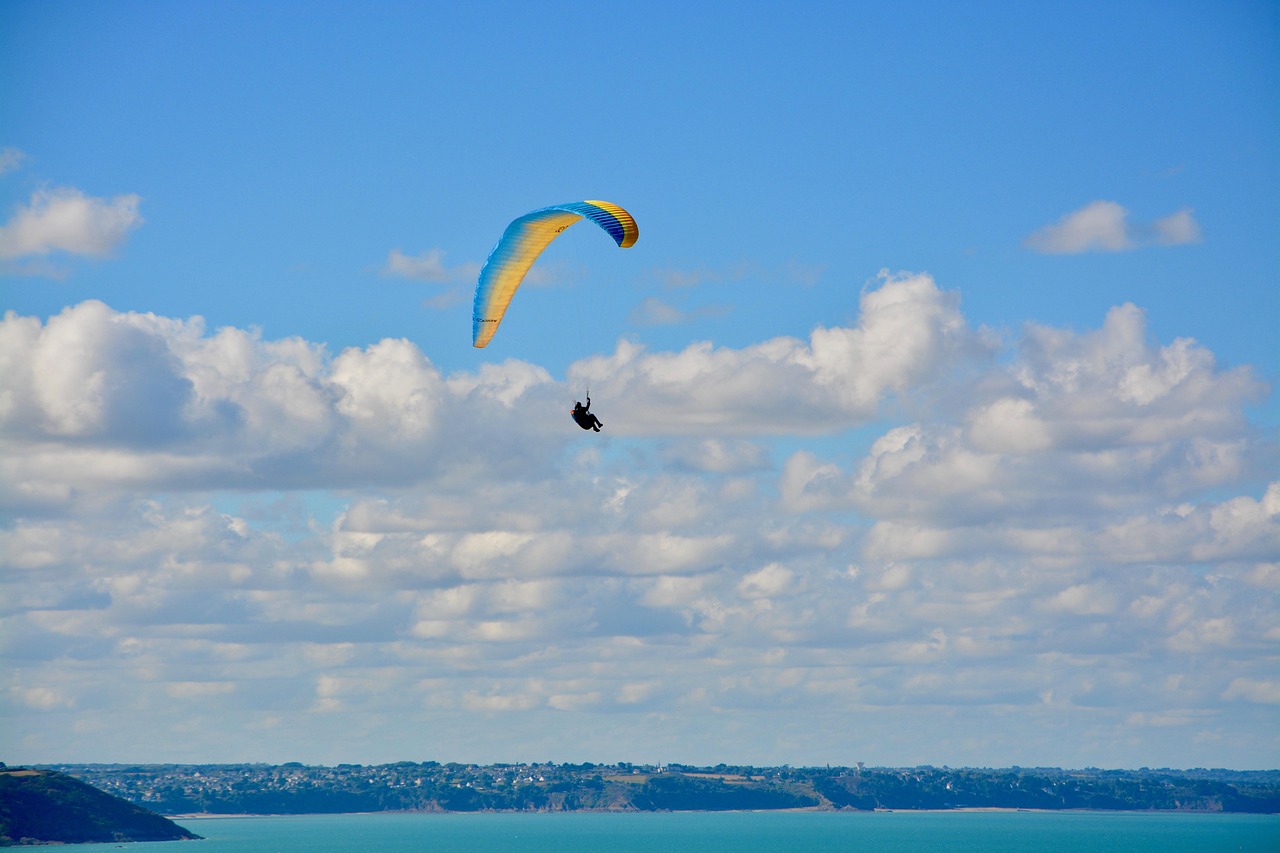乘风破浪的姐姐们,最新音乐的魅力与力量展现舞台风采!