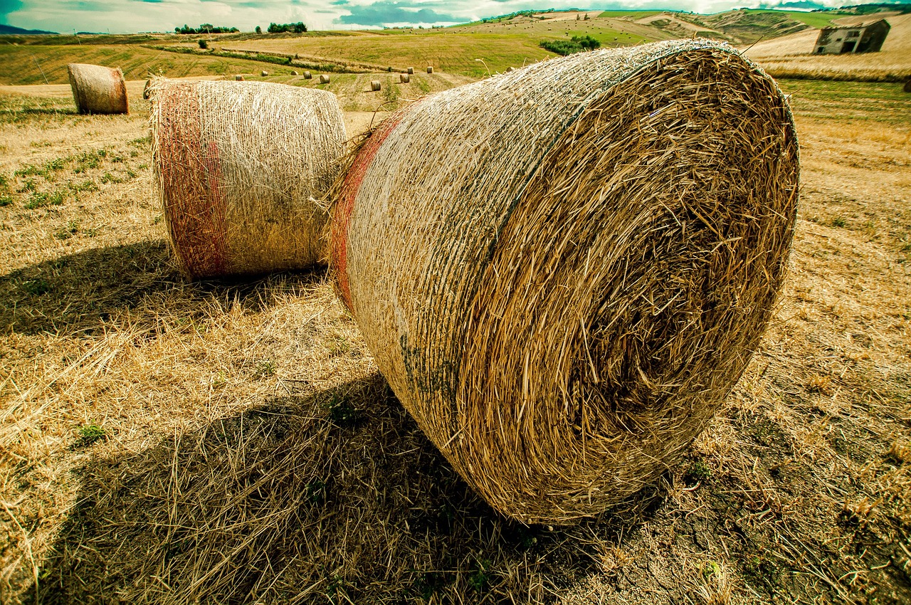 沪深上市公司最新动态,引领变革,塑造未来发展之路