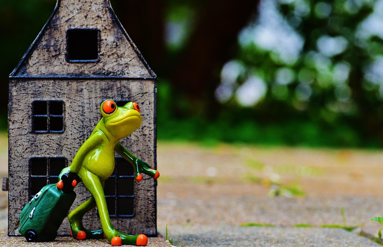 小学生爆笑笑话集锦，欢乐无穷尽！