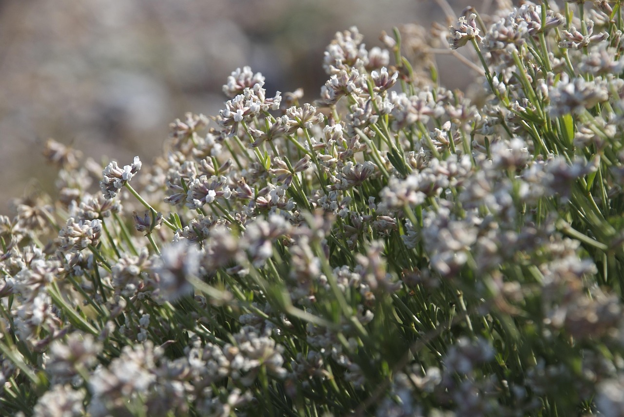 一澜冬雪 第19页