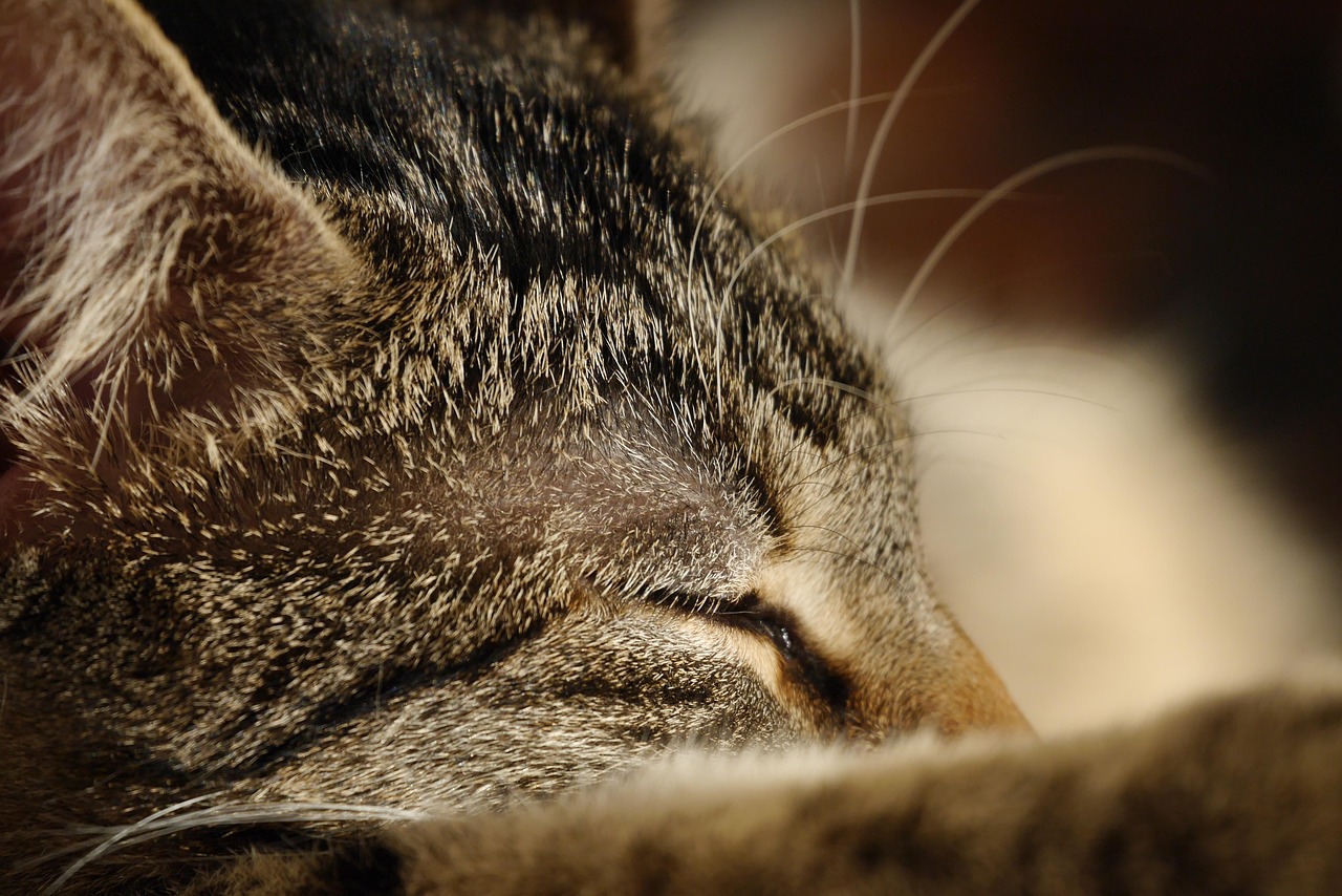 梦里七彩虹 第18页