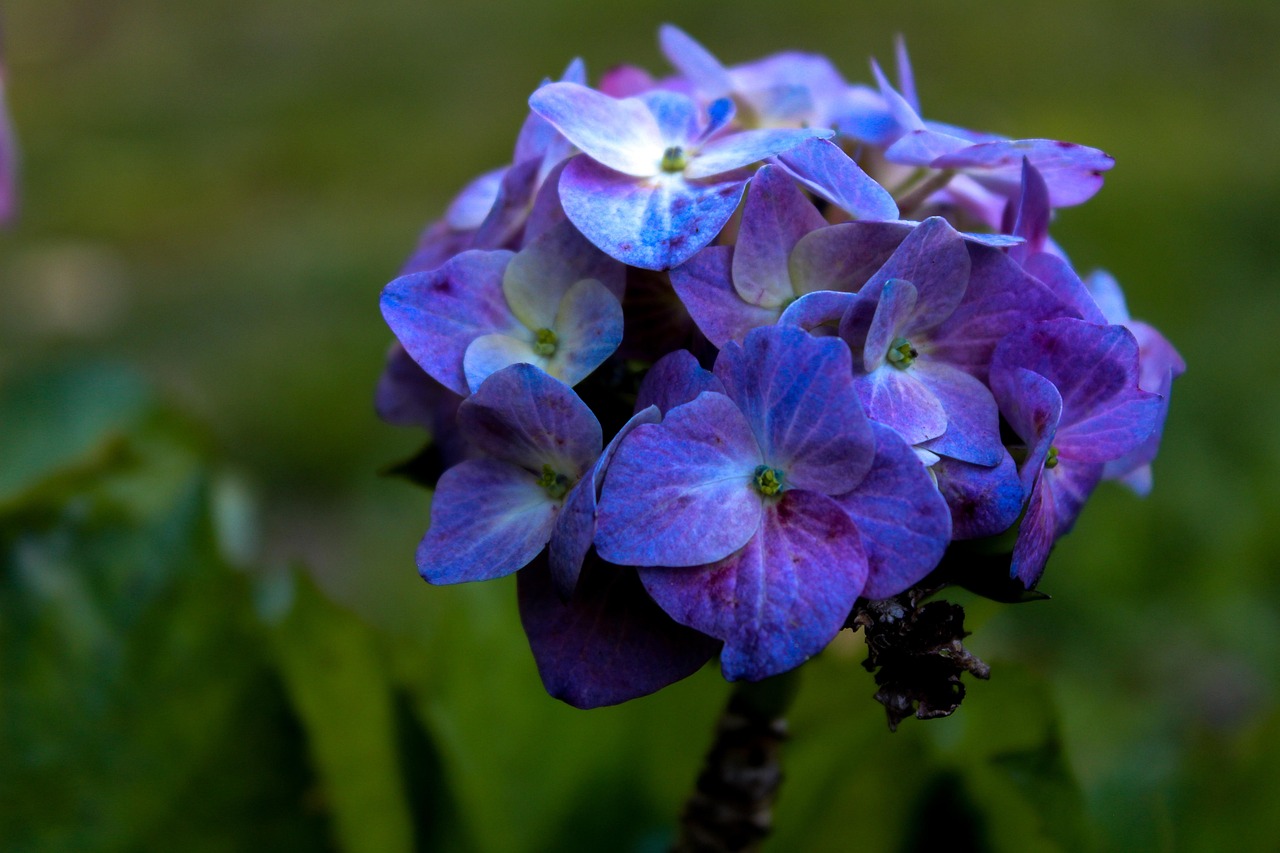 奥园国际城最新房价及其动态分析概述