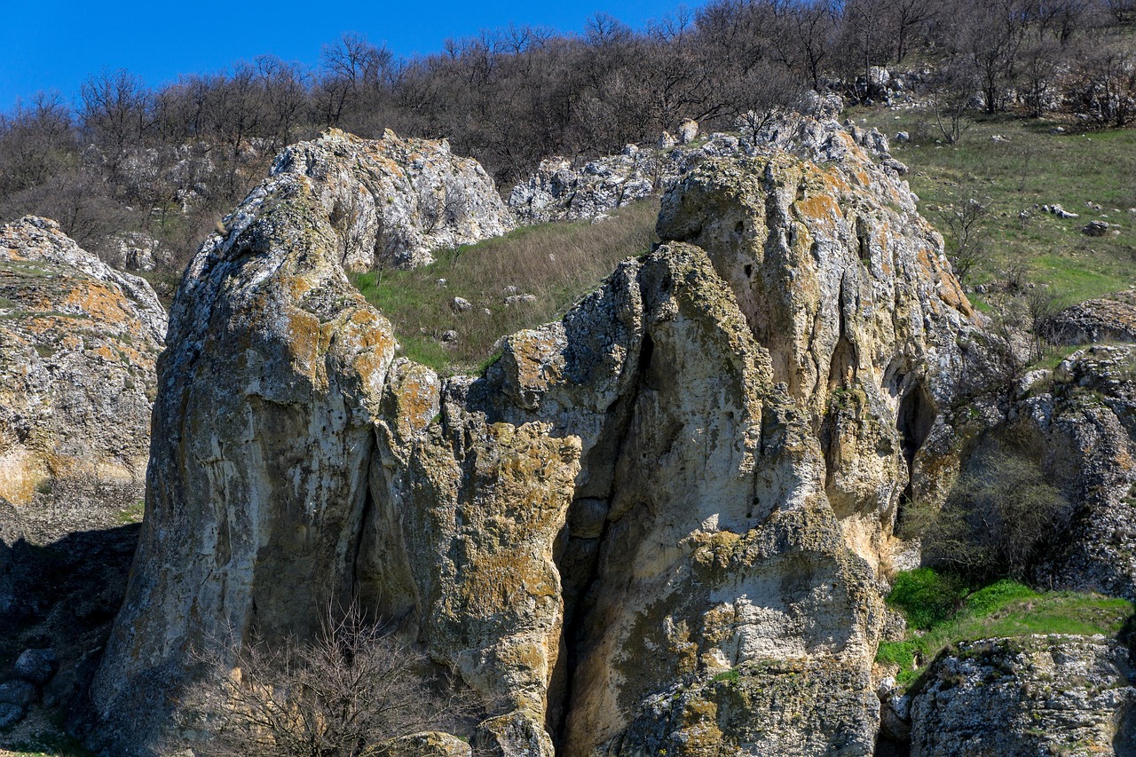 贵州龙叫揭秘，探寻神秘龙鸣背后的故事最新消息速递