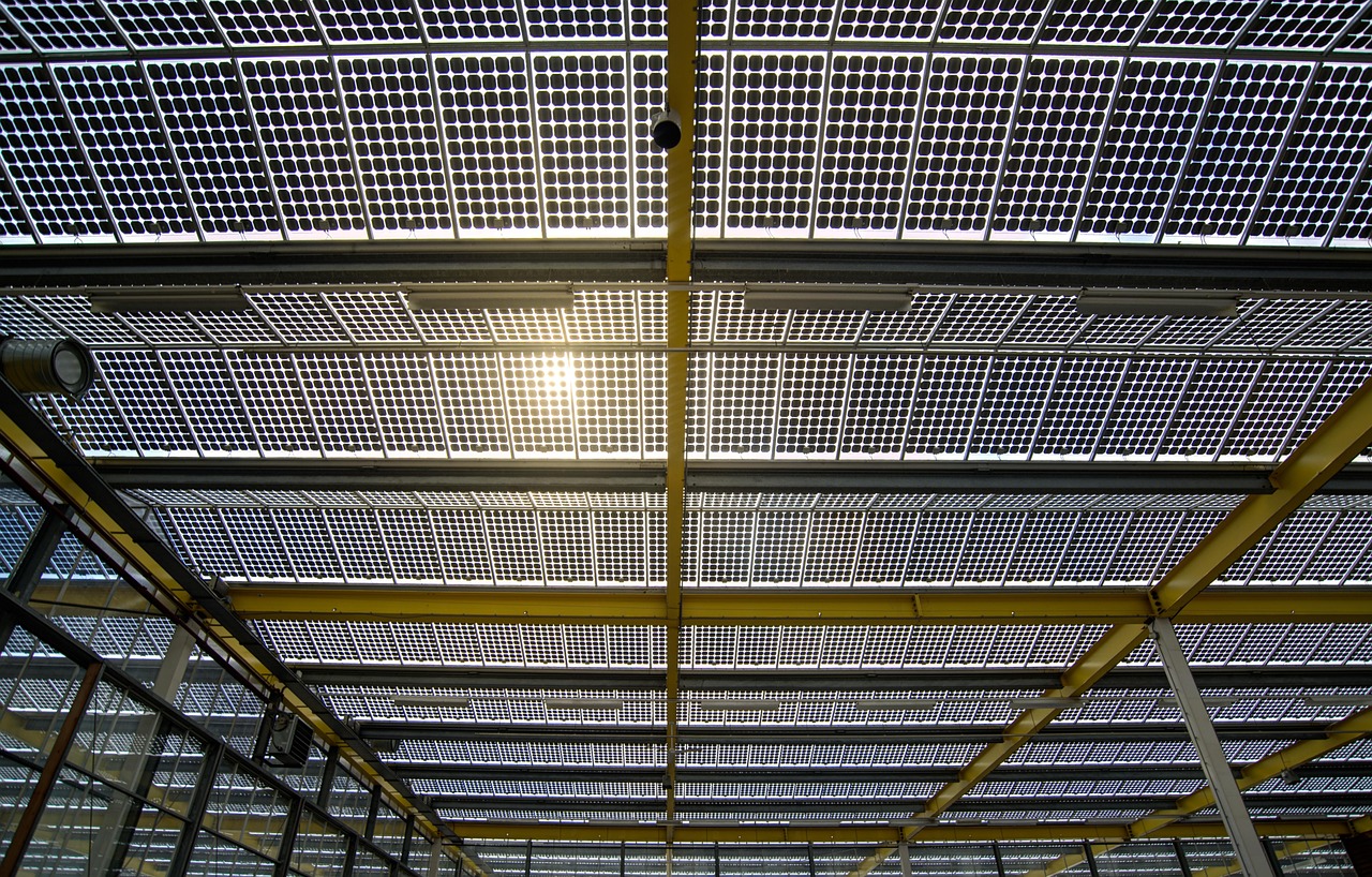 招商国证生物医药最新动态与行业趋势及公司展望