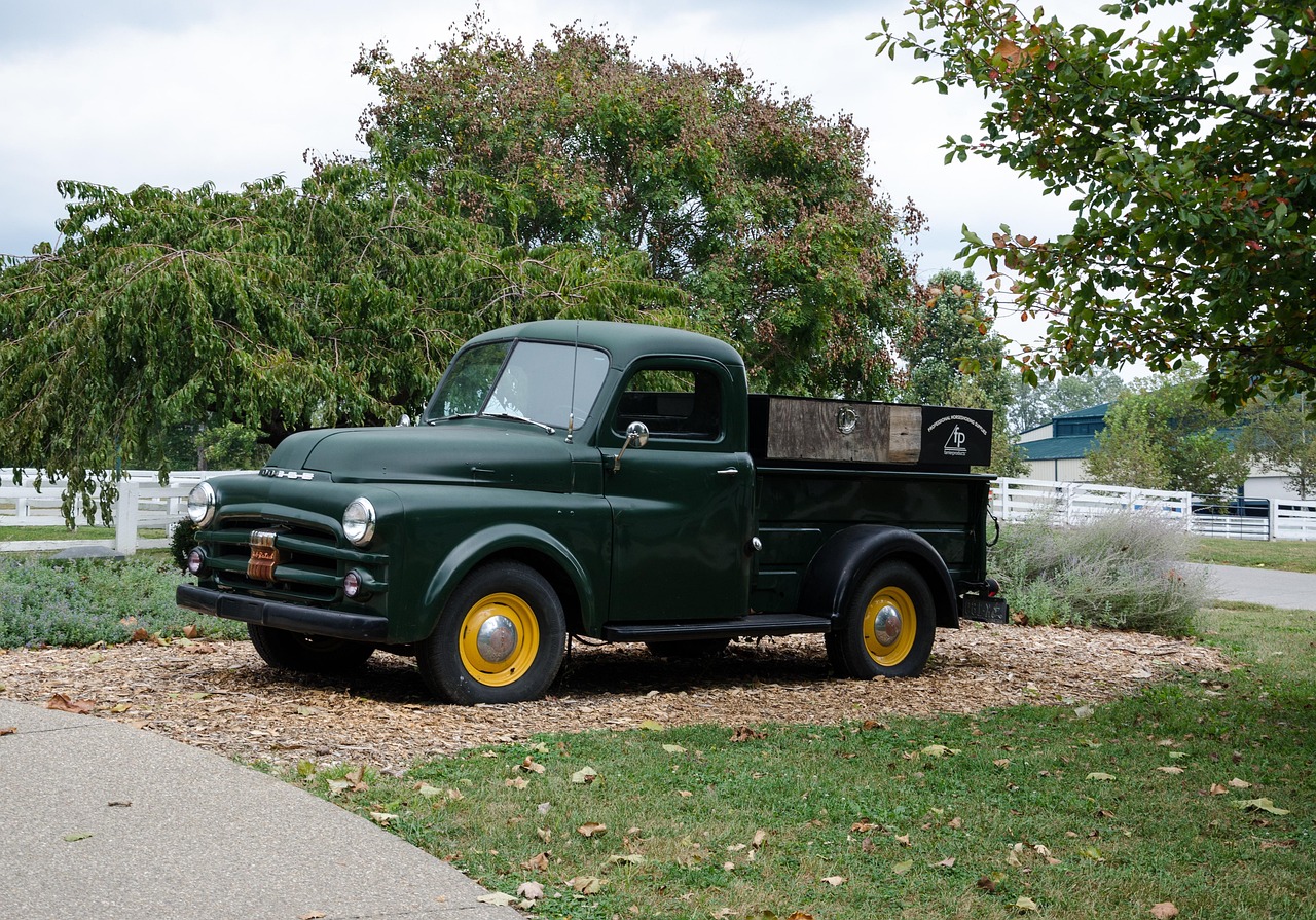 美国七月七日最新疫情动态分析报告