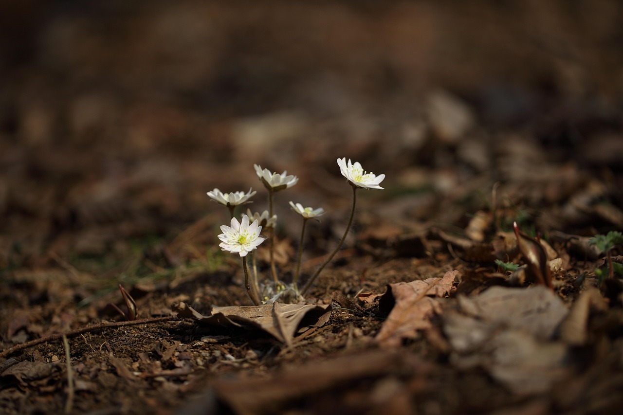 林中雨亭 第19页