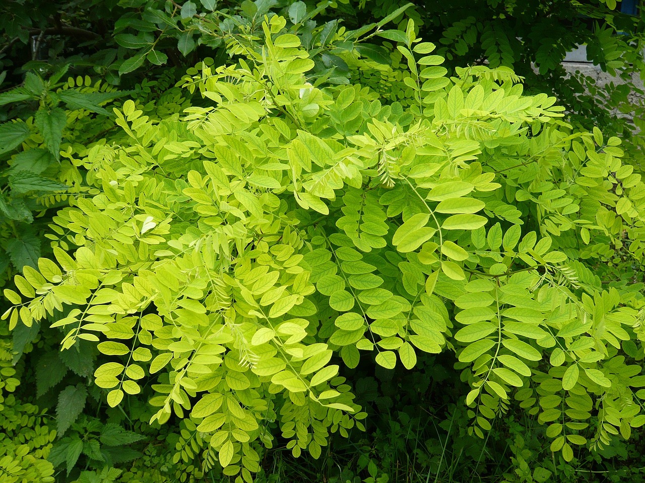 天津垃圾分类最新动态,迈向绿色生活的步伐加速