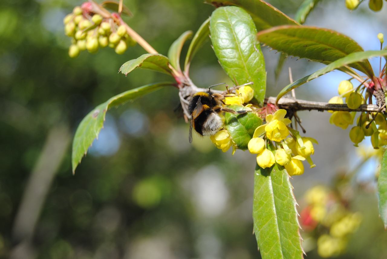 宋雨琦与叶舒华最新动态及成长轨迹揭秘