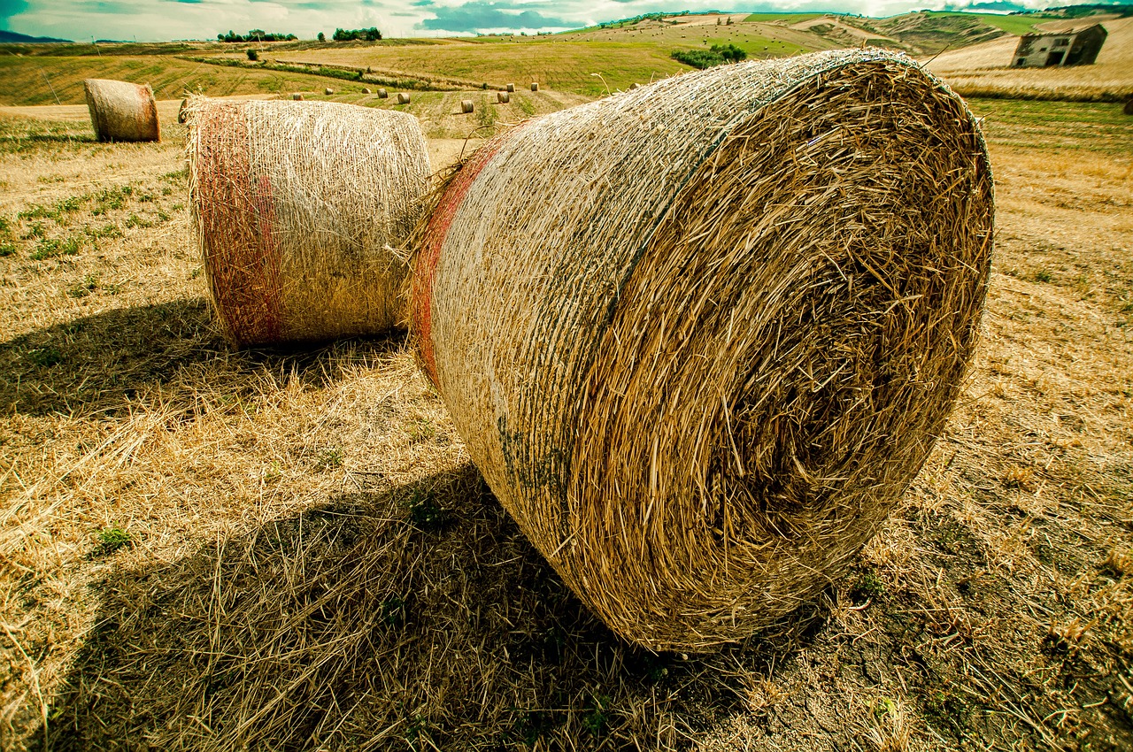 胜利精密引领行业变革,塑造未来蓝图,最新消息揭秘公司动态