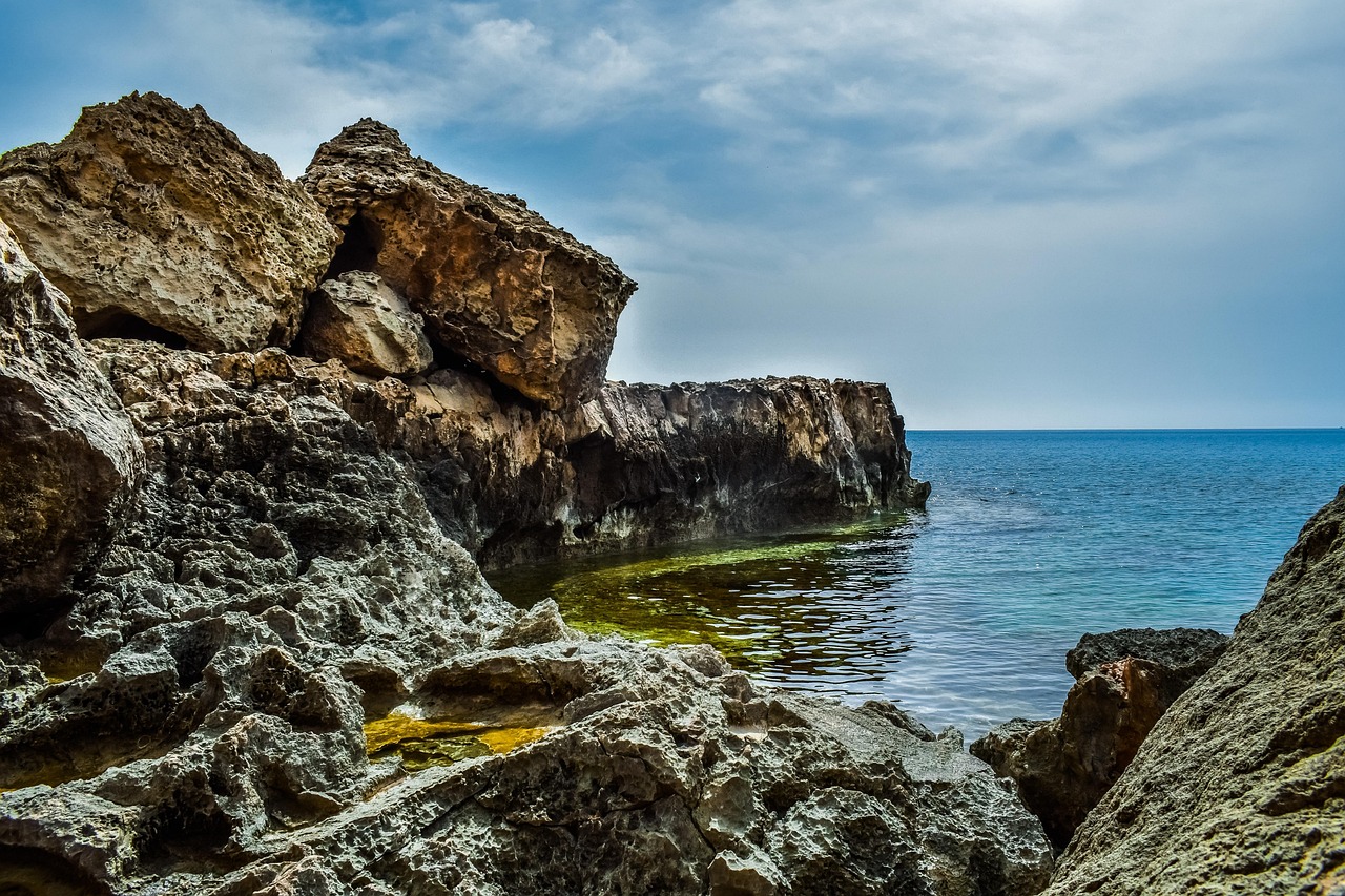 茅台今日最新价格动态,市场走势与未来展望