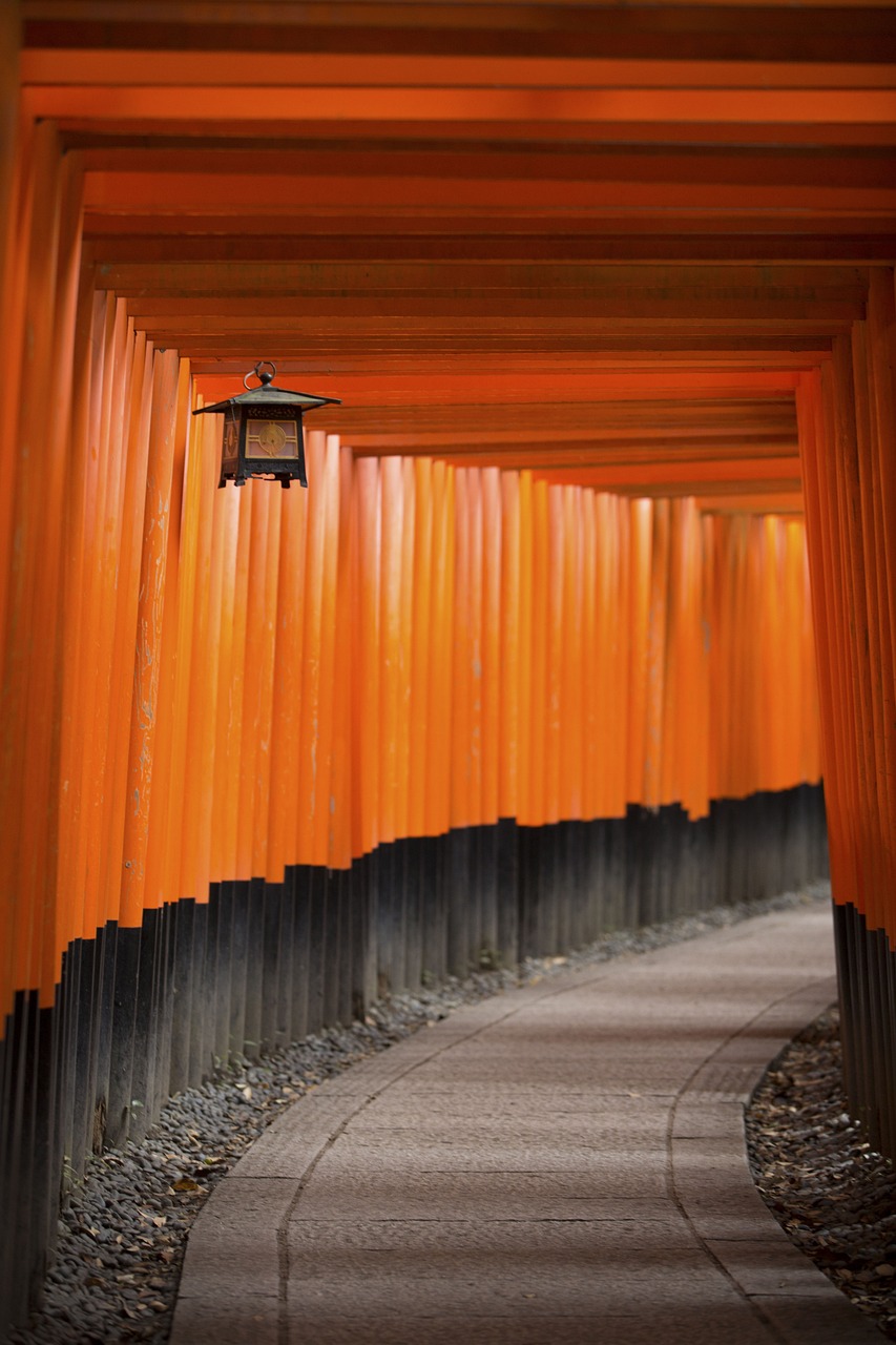 重庆最新疫情分析报告,10月份疫情动态及发展趋势解读