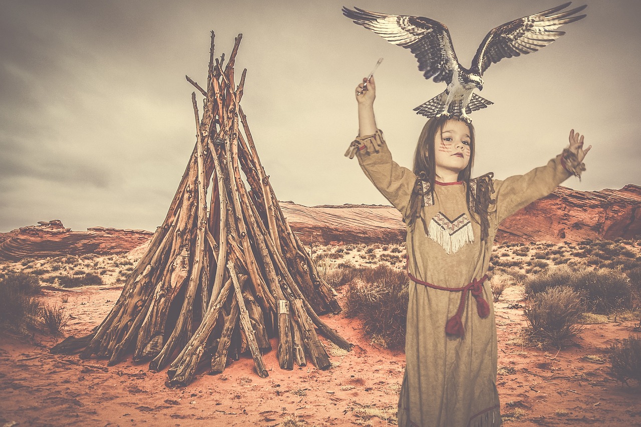 美国选举人票最新结果及其深远影响