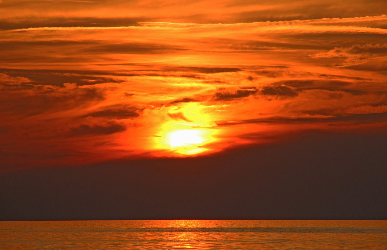 德州橡树湾最新消息揭秘,发展动态与未来展望展望