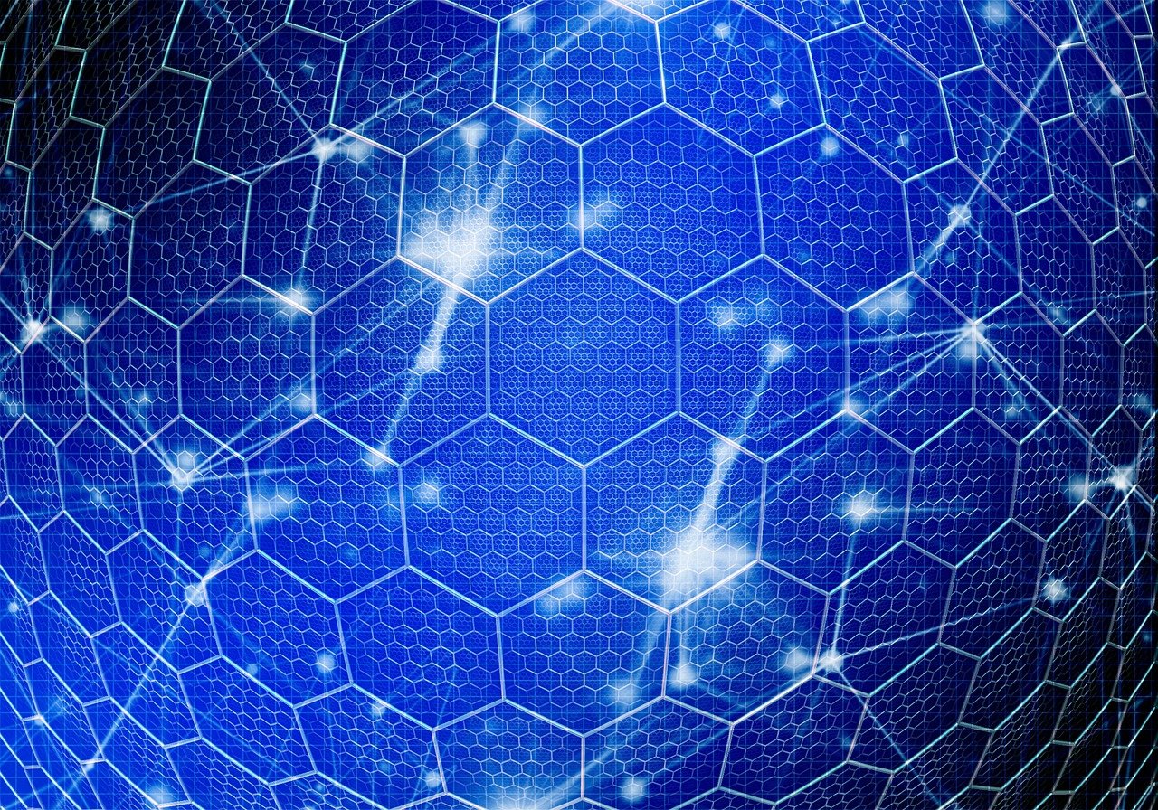 金盈所最新消息深度解析与概述