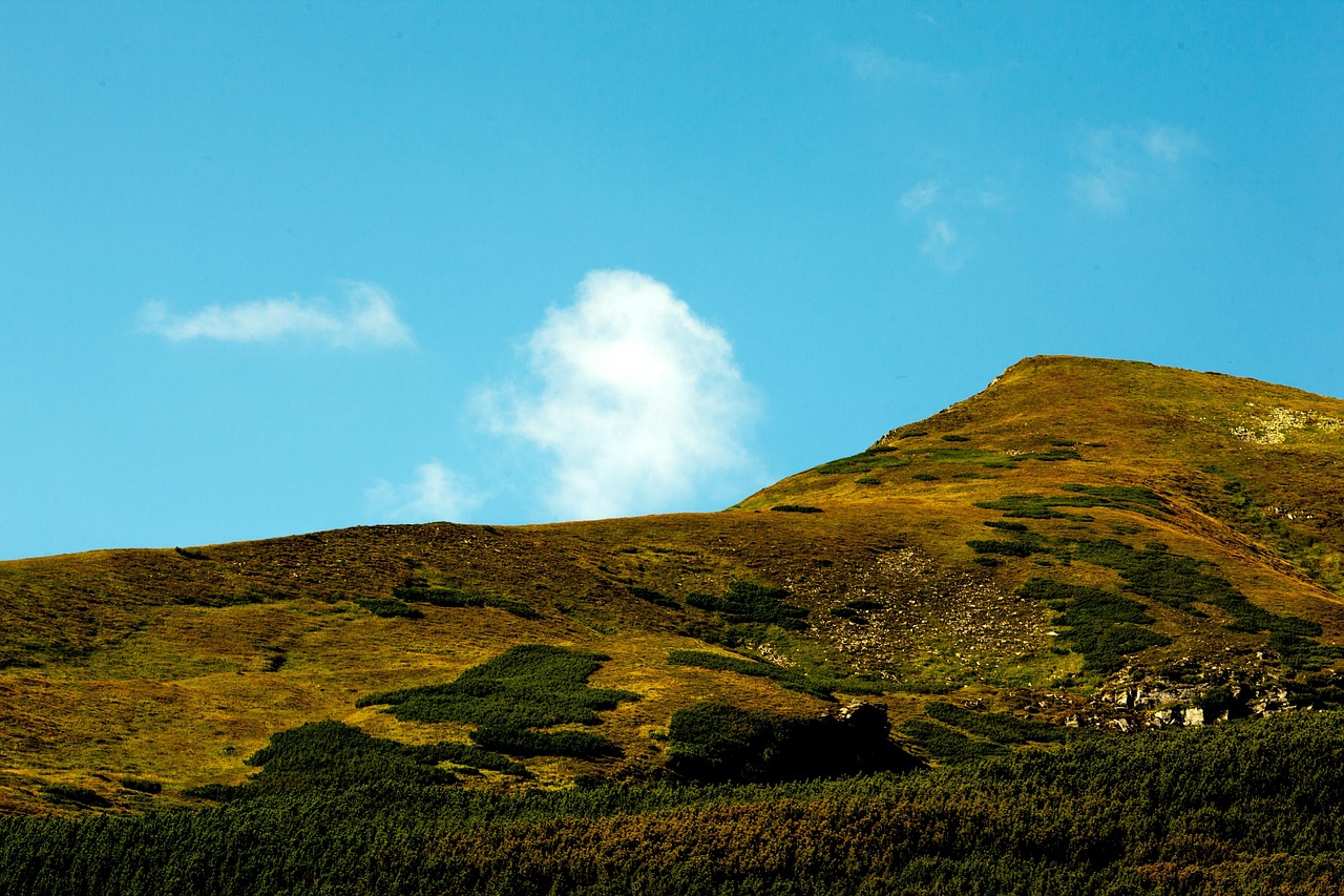 北京朝阳区最新疫情地区概况及动态更新