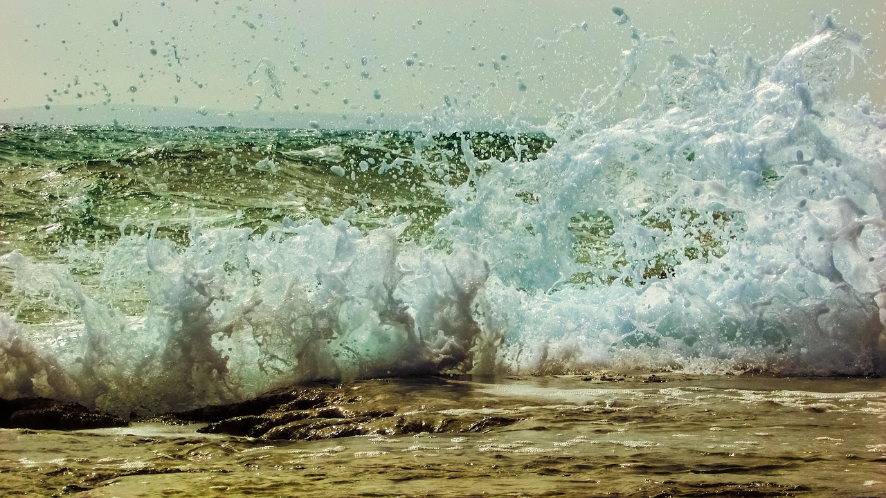 重庆蛋壳公寓最新动态深度解析