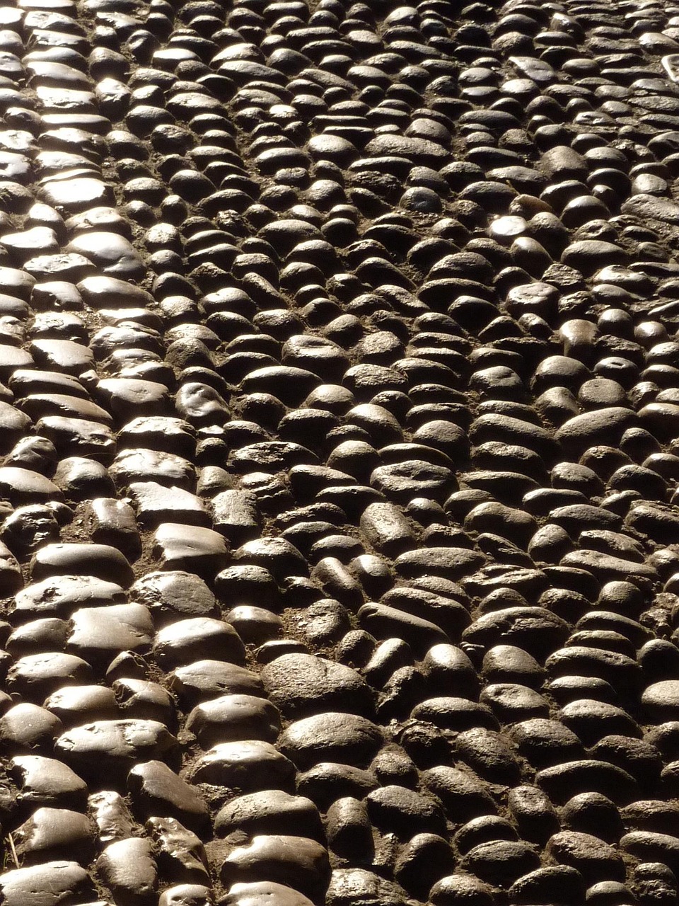 连云港化工园区蓬勃发展与创新突破的最新动态