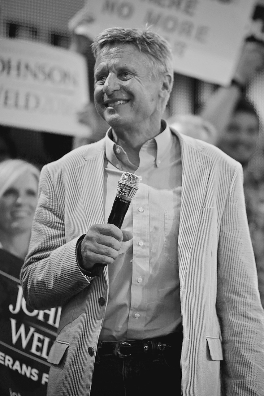 总统大选最新动态，候选人角逐与未来展望揭秘