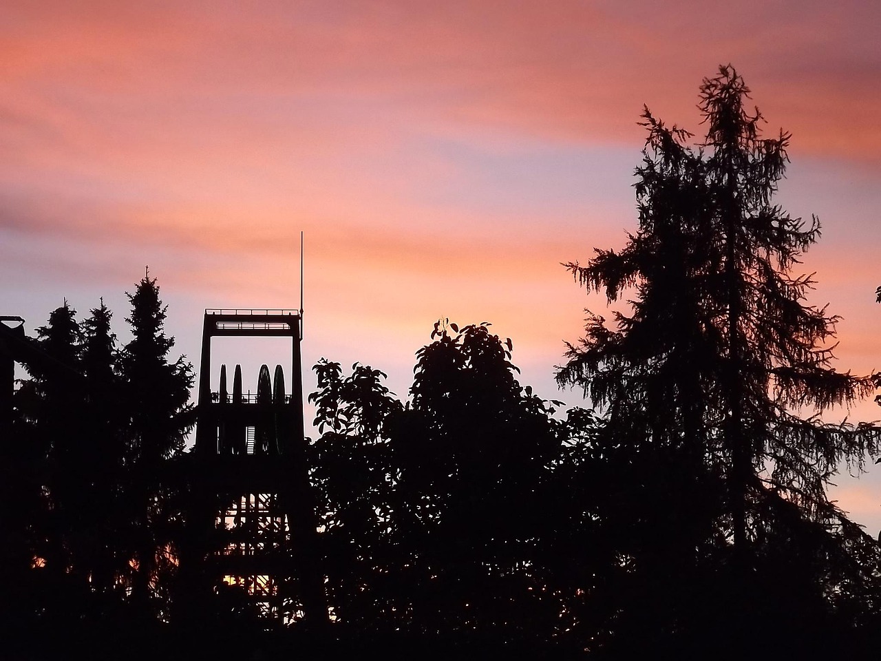 法国民众最新消息概览,时事动态与热点聚焦