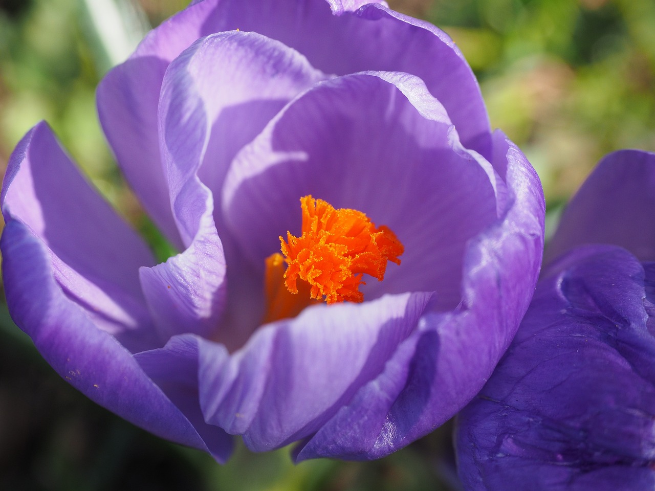 开新股份最新动态全面解析