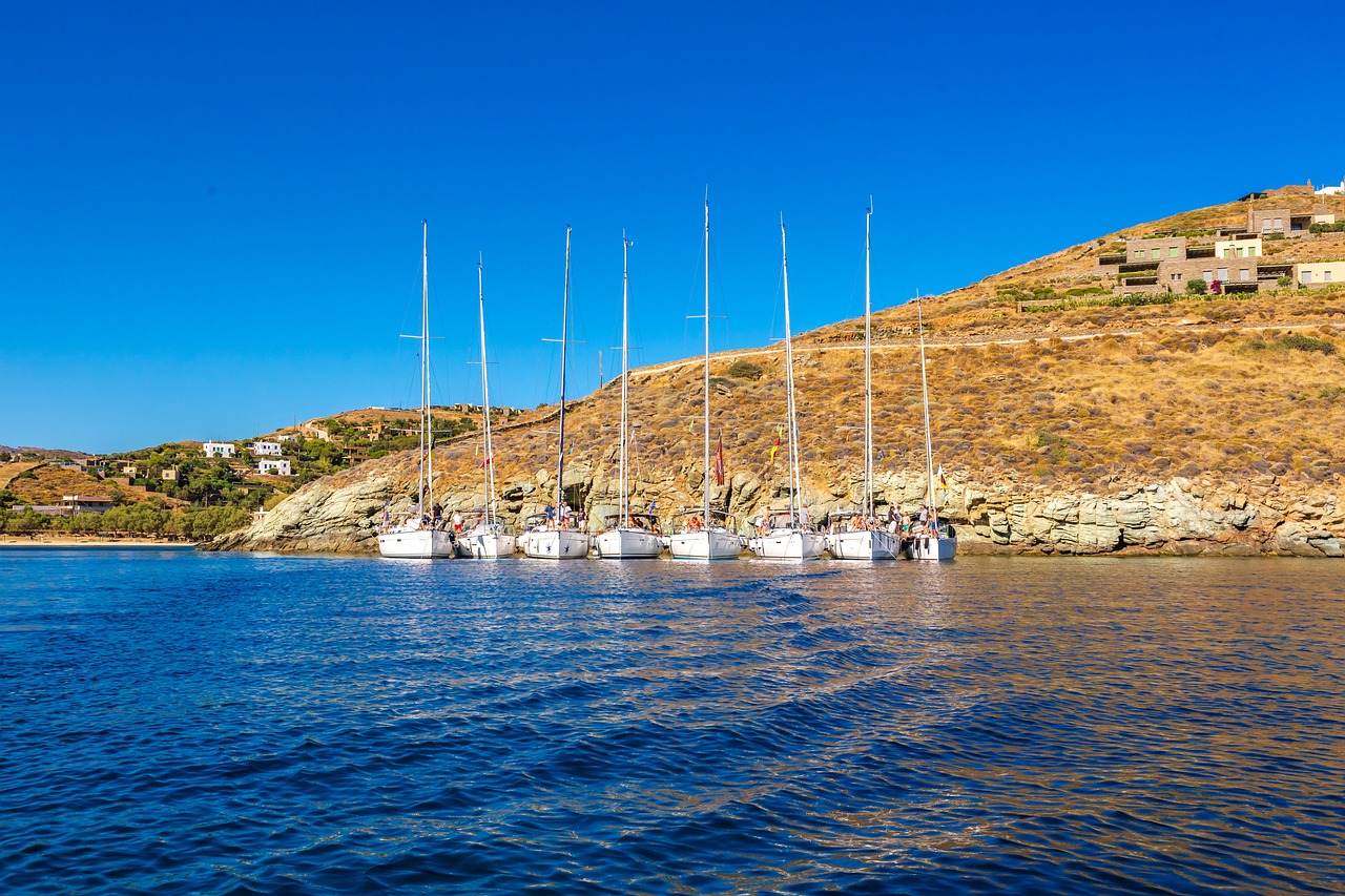 餐厨垃圾最新动态，引领绿色变革，共创可持续未来