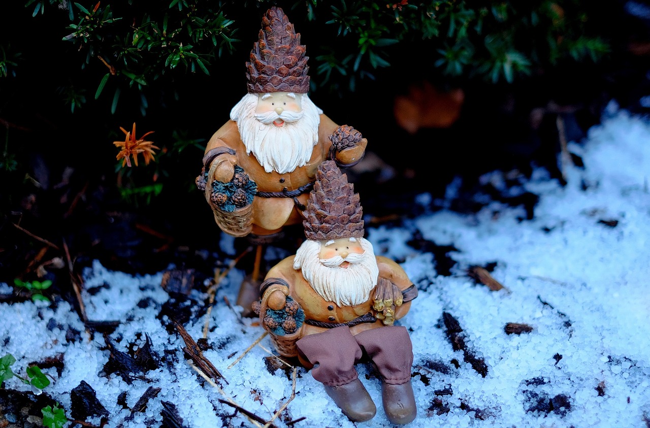 席娟最新小说免费阅读，奇幻世界的探索魅力