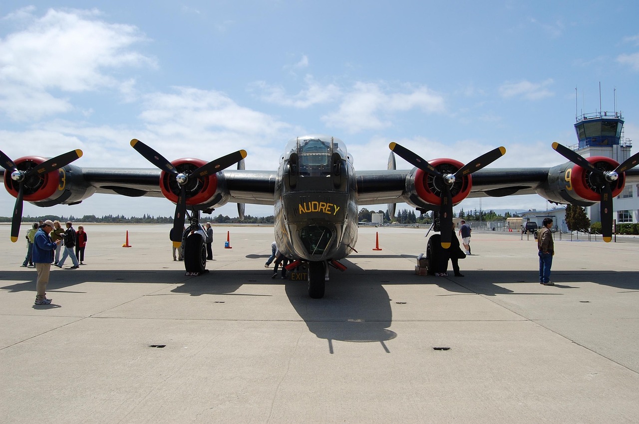 全球疫情航班最新动态，挑战、应对策略与航空业的新变化