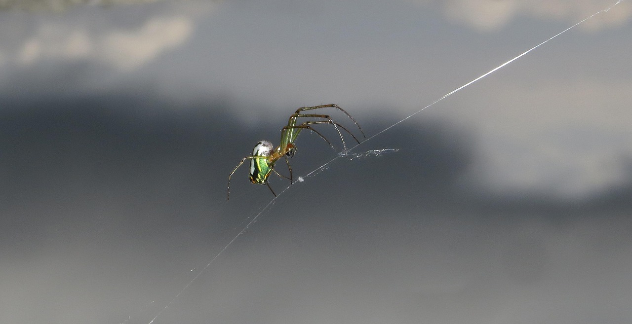 廊坊临空最新动态，航空新城蓬勃发展揭秘
