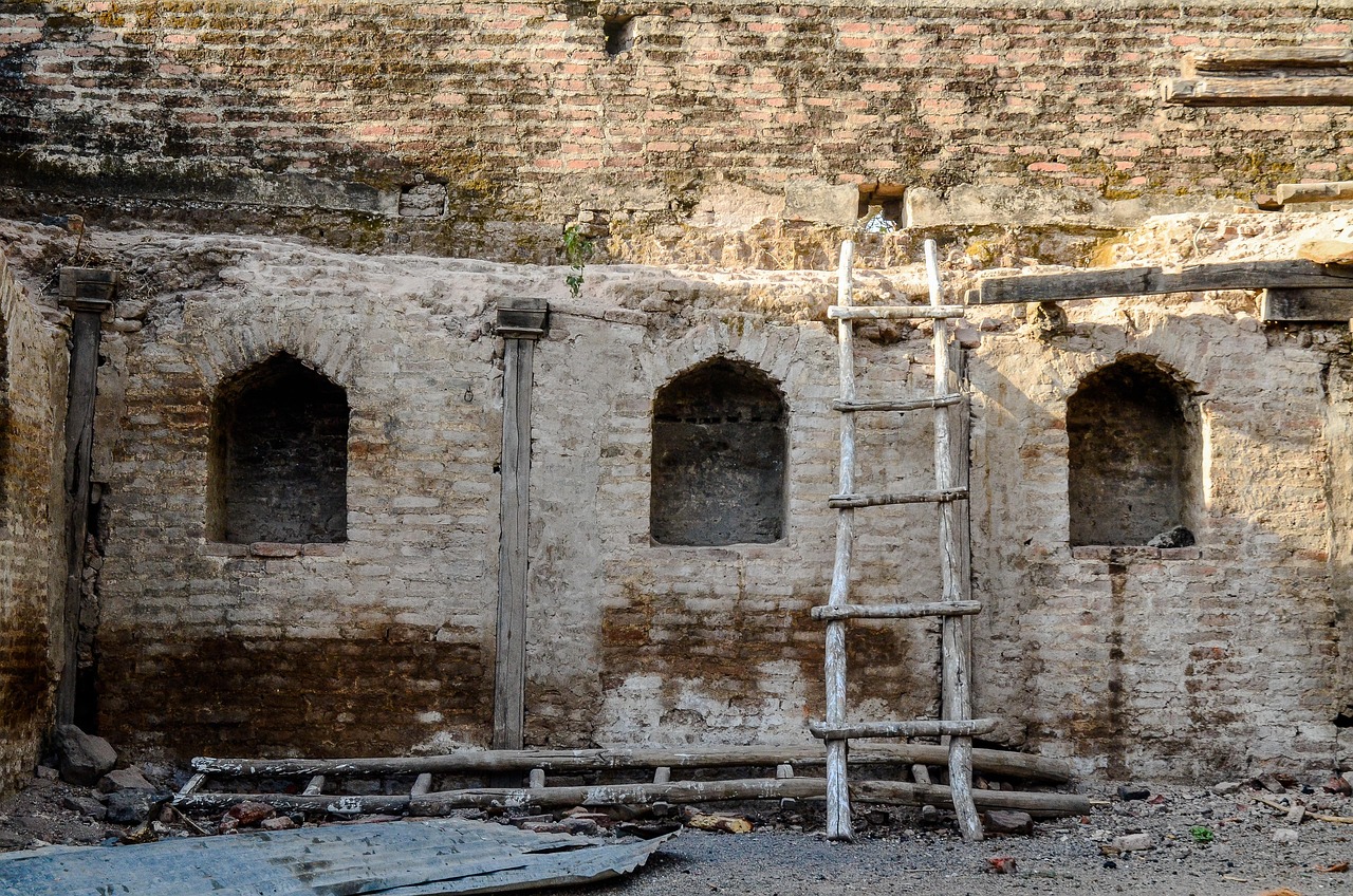 乡村新面貌与发展活力，最新农村视频揭示的两条故事线