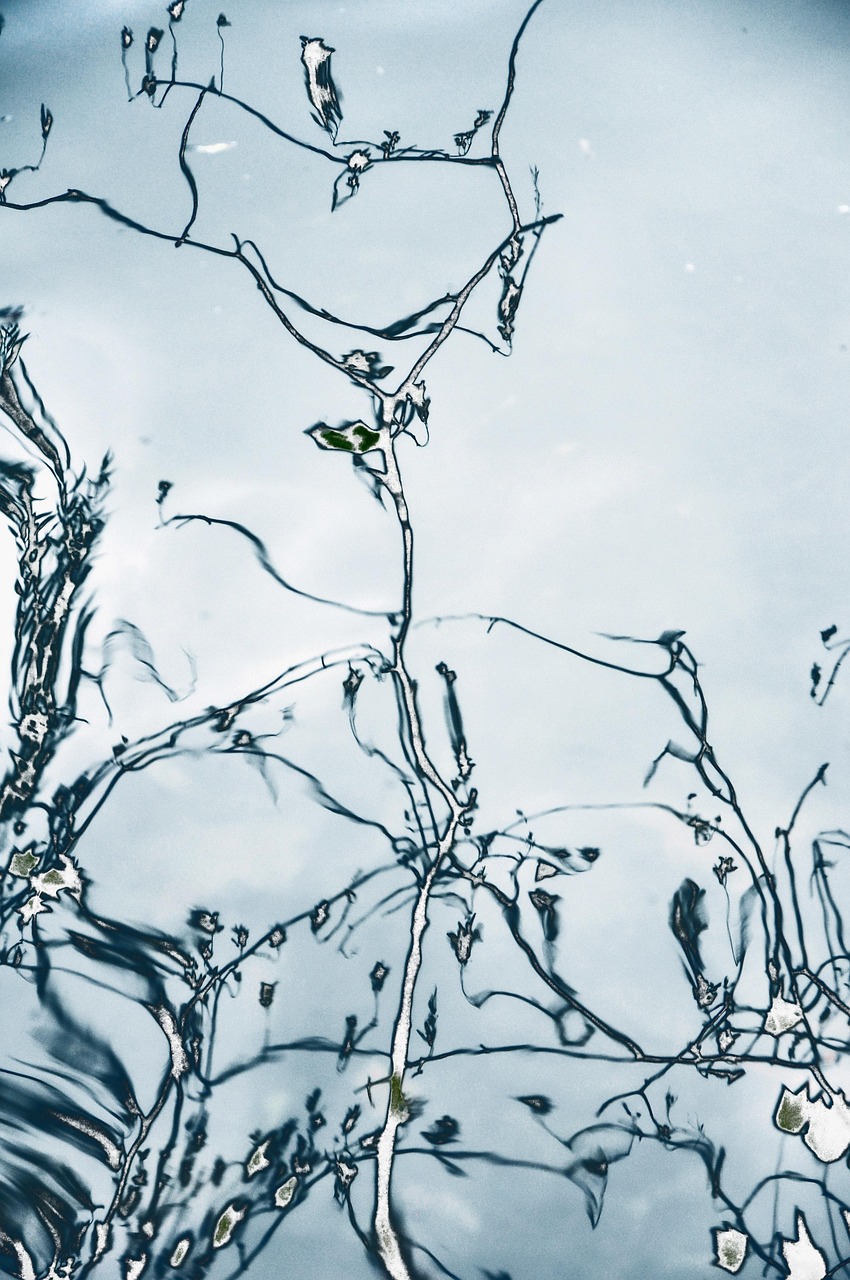 2018年振兴东北最新动态与消息