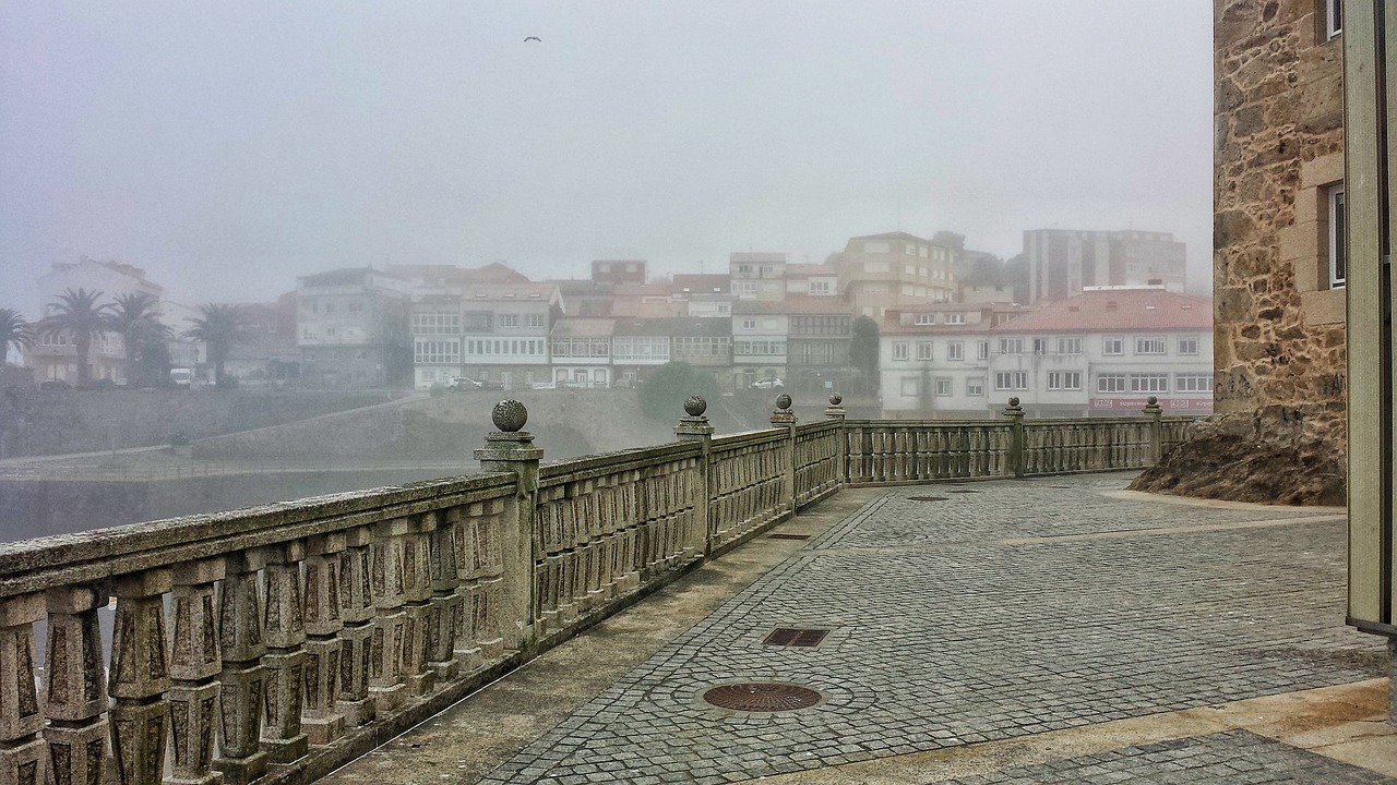 新城与房产最新动态，探寻市场趋势与发展动态速递