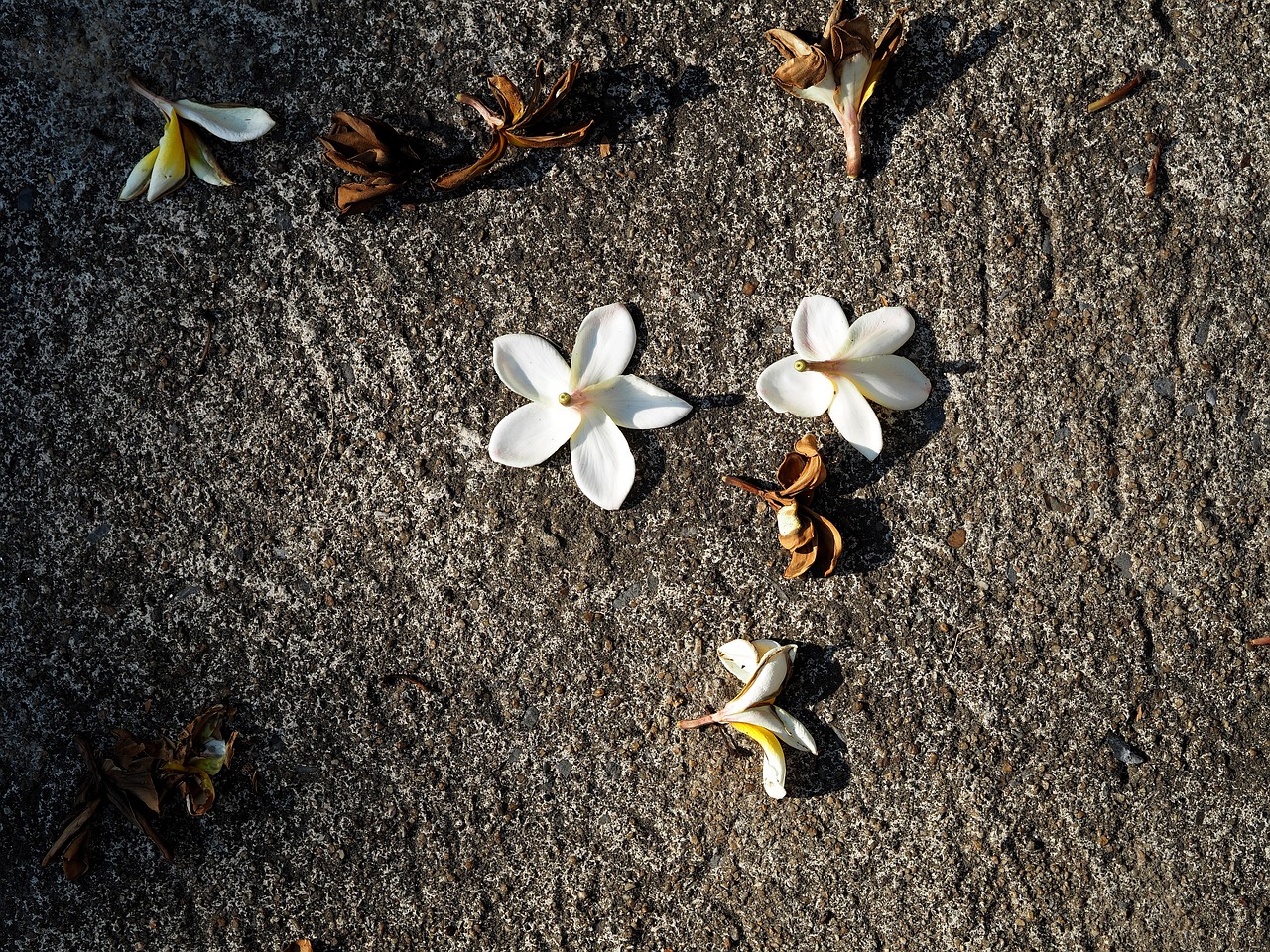 丁绣峰的最新动态更新或消息简报