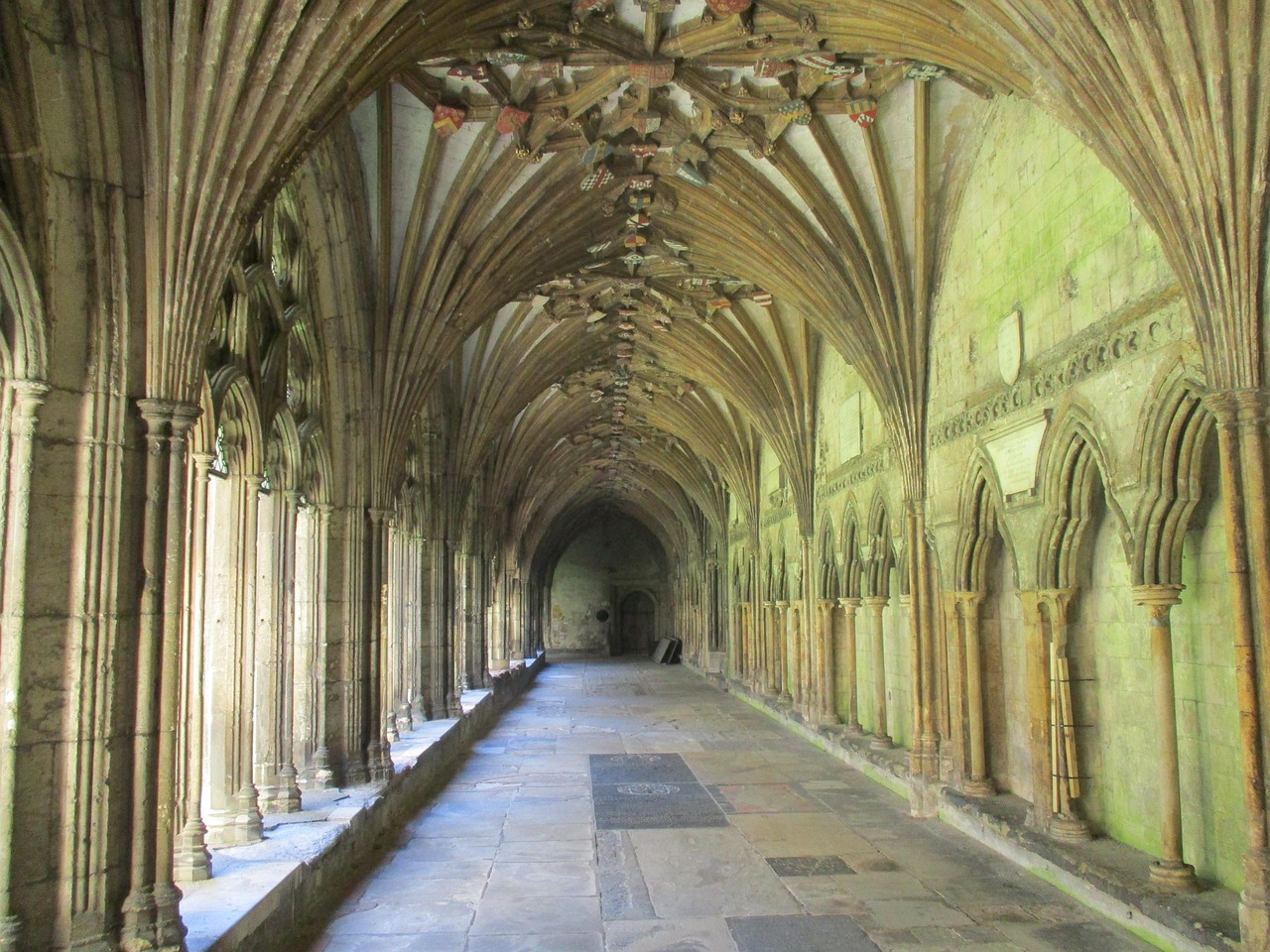 深圳大统筹最新动态，城市发展迈入崭新篇章