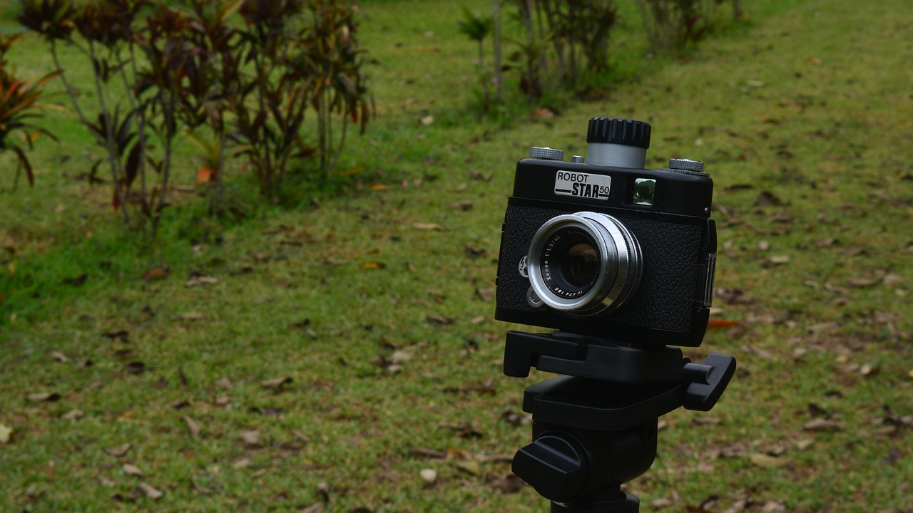 贺峻霖电影频道最新动态揭秘