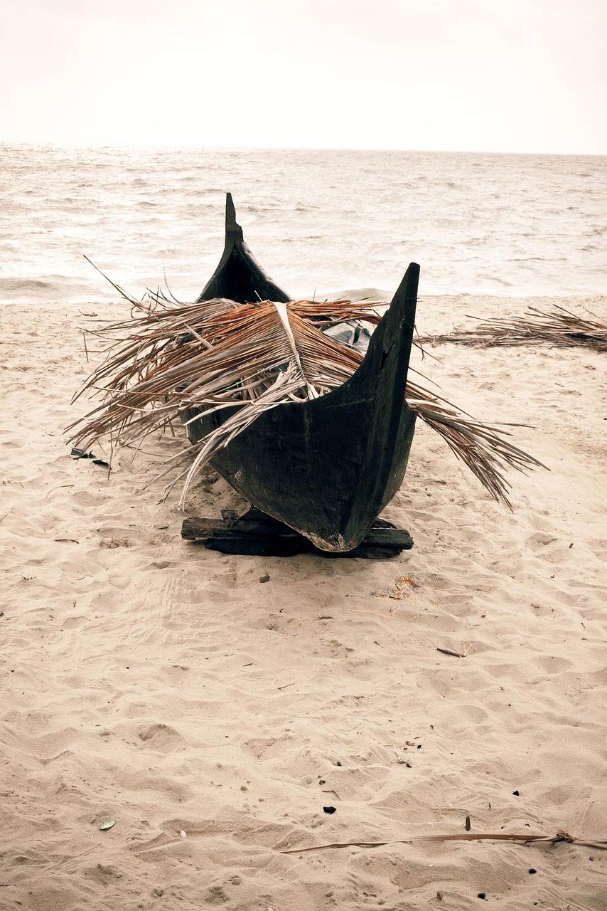 逗鲨最新版本，探索与体验的新旅程