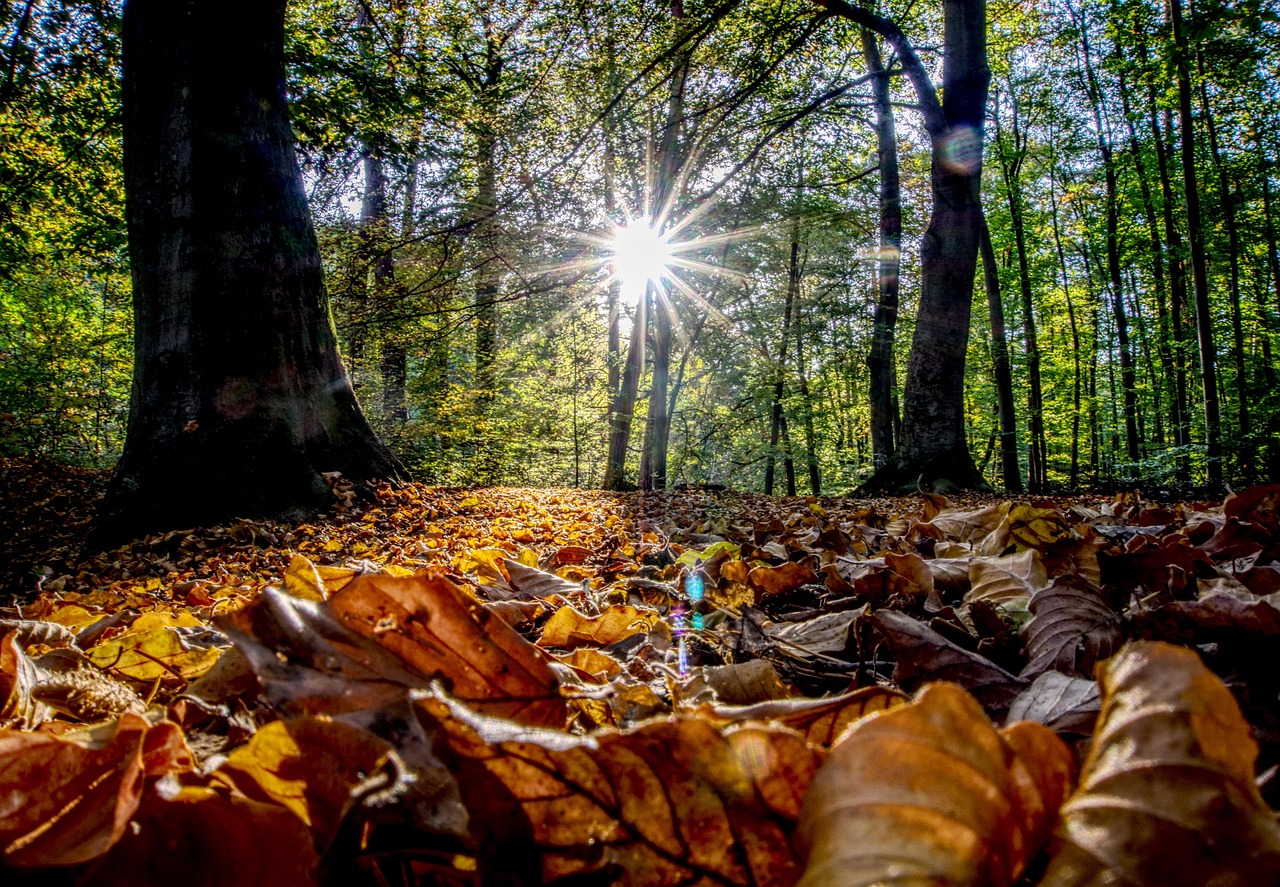 新疆疫情最新消息全面解读与动态更新
