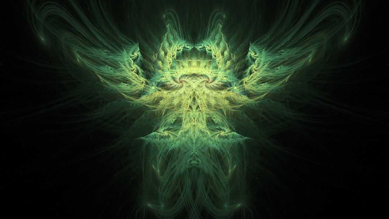 一念花开 第14页