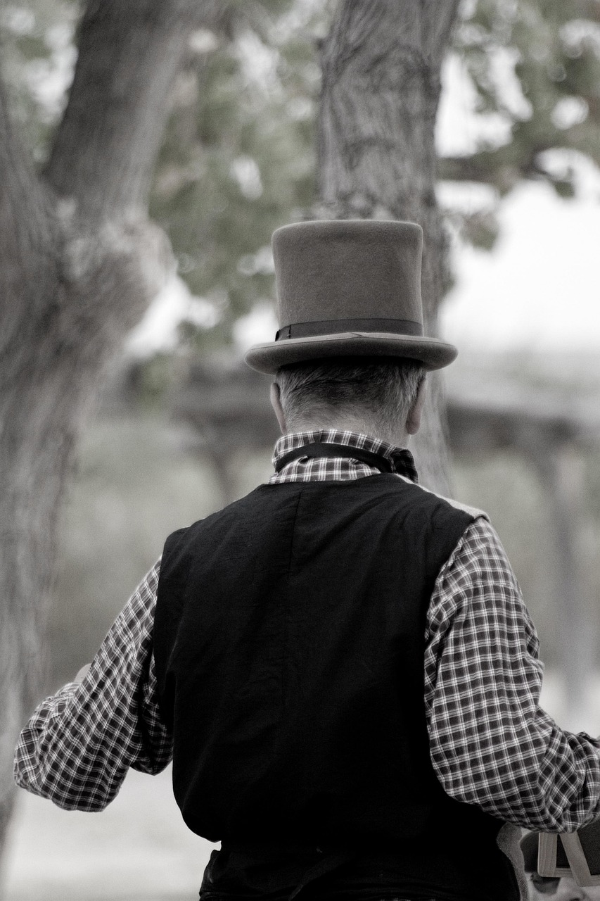 陆贞传奇，免费观看，历史的传奇之旅