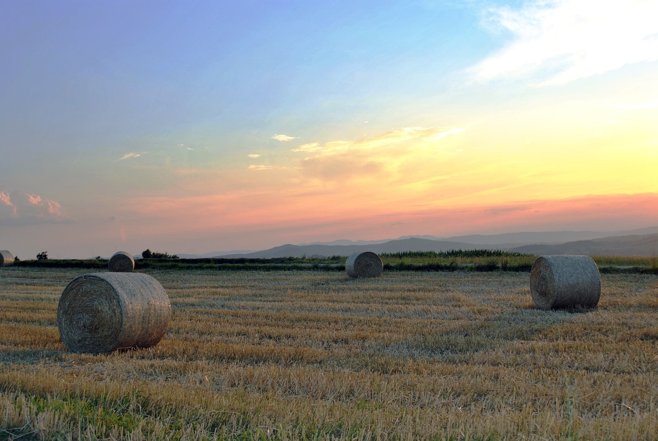 顶级小农最新篇章，农业科技的崛起引领乡村振兴新篇章