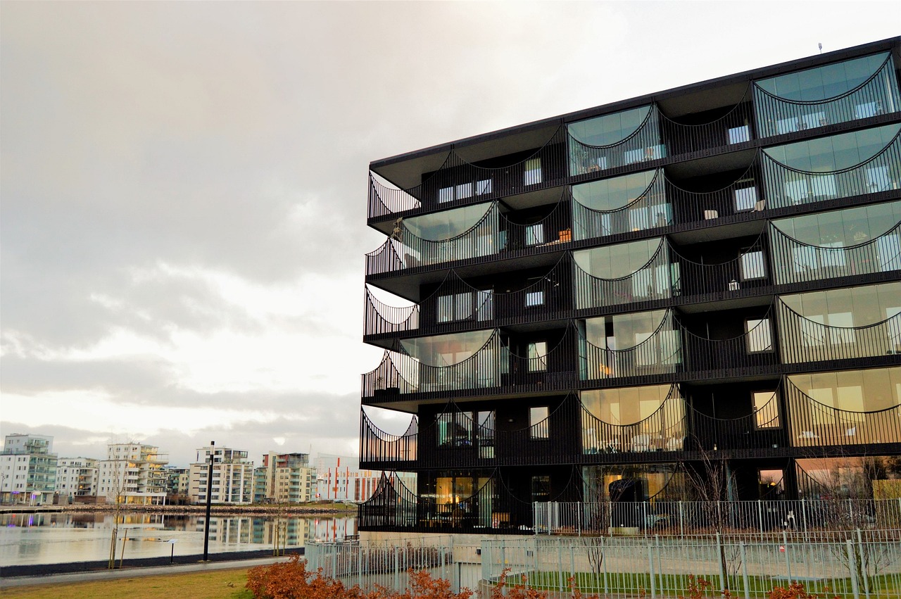 深圳新星行情，探寻城市新动力之源