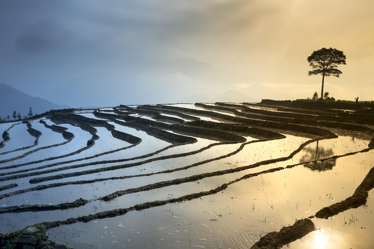 前沿农业种植方法，重塑农业生态的革新之路