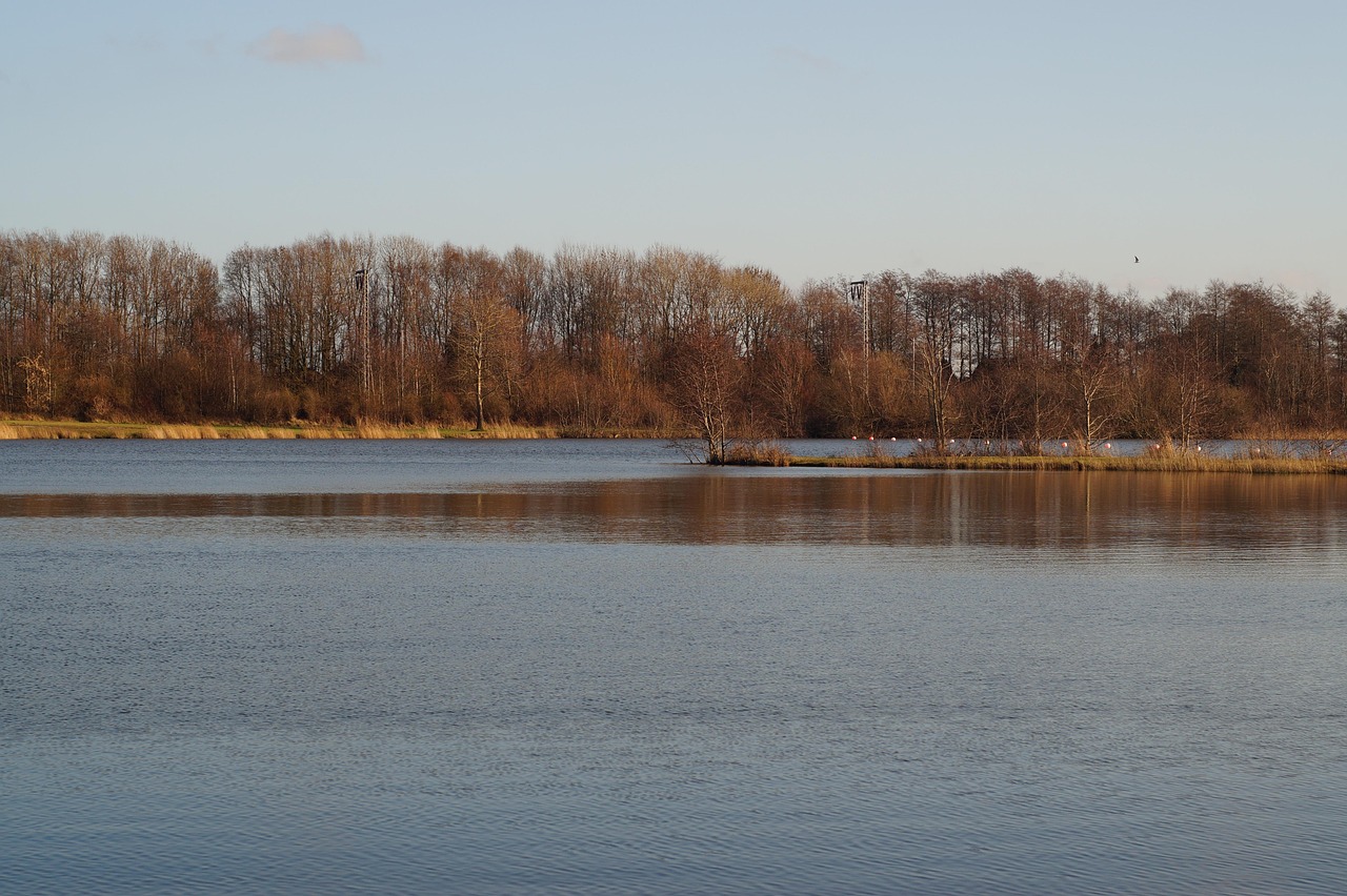 吴磊最新动态，星途璀璨，热血前行之路