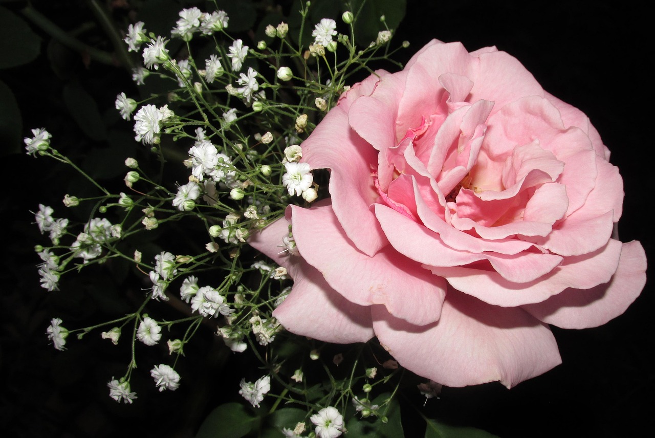 江南烟雨断桥殇 第15页