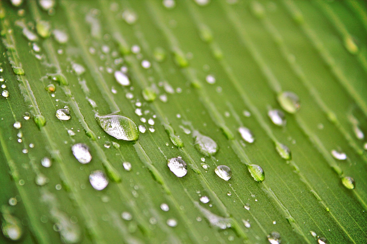 实时掌握全球股市动态，美股行情APP的新选择